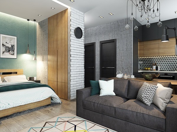 apartment interiors decoratin