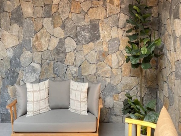 Wall with natural stone