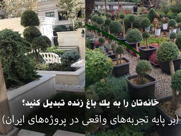 طراحی روف گاردن