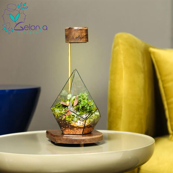 طراحی داخلی به سبک نوین 5 تراریوم در هر مکانی قابل استفاده است